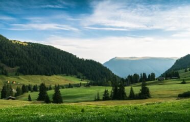 blog-grid-1-410x308